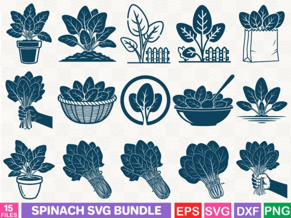 Spinach Graphics Bundle: A Stylized Illustration Collection